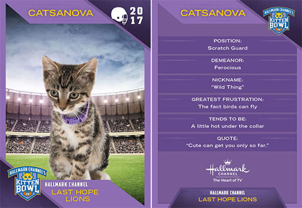kitten-bowl-18