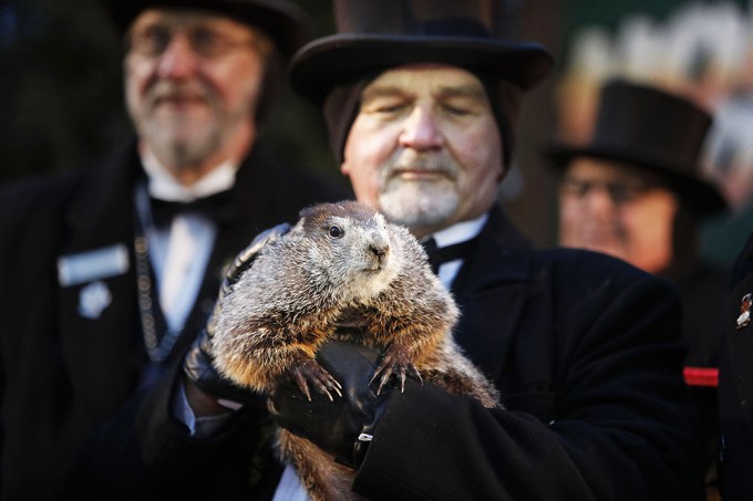 Punxsutawney Phil With His Handler