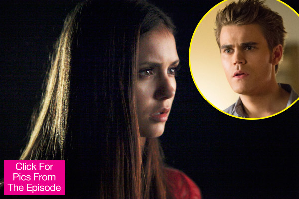 Vampire Diaries Stefan Elena Break Up