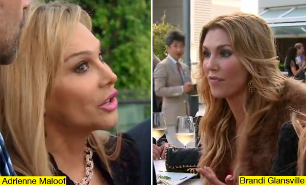 Adrienne Maloof Brandi Glanville Fight