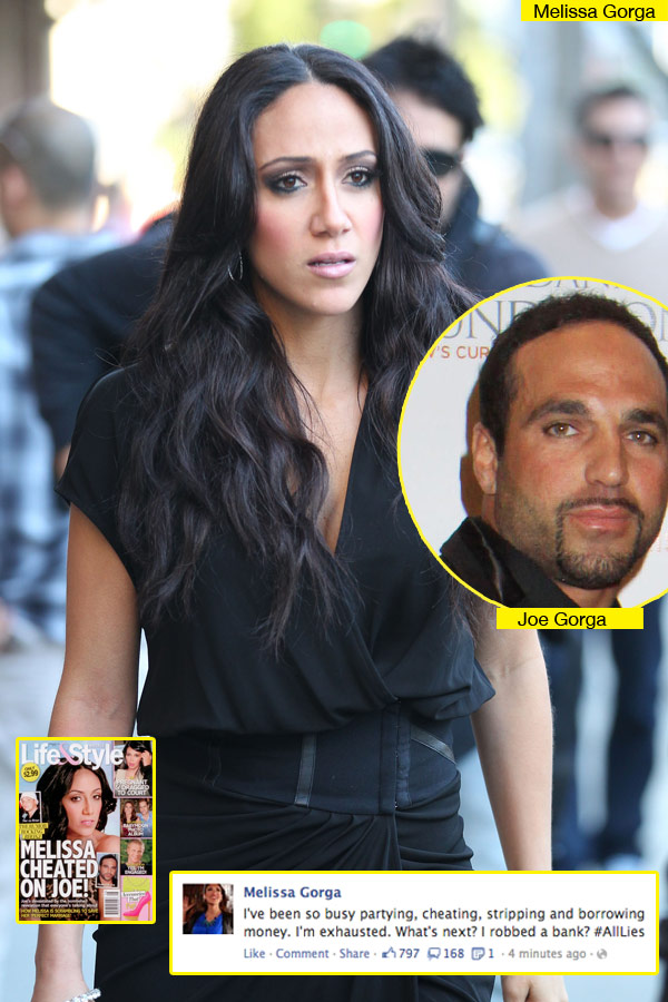 Melissa Gorga Cheating