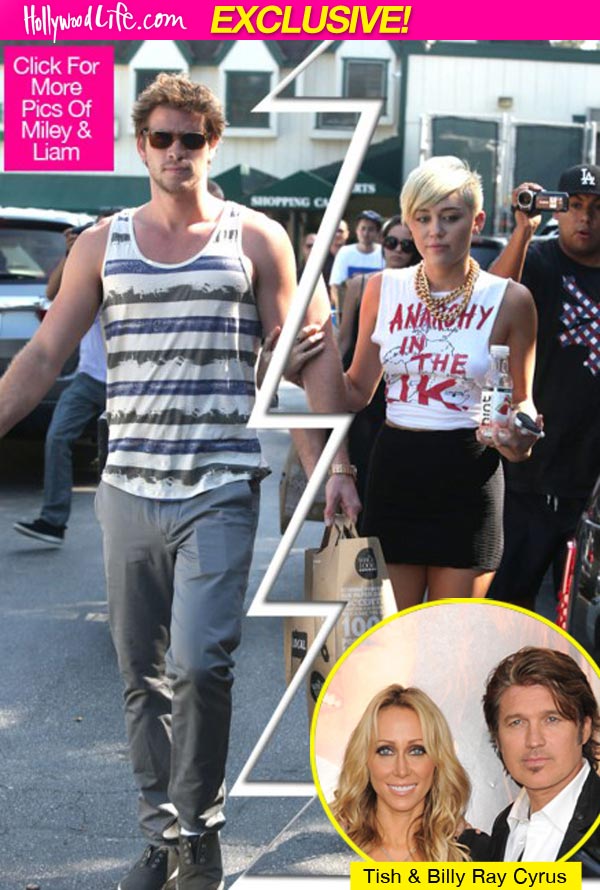 Miley Cyrus and Liam Hemsworth Split