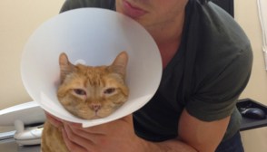 Nina Dobrev Ian Somerhalder Cat