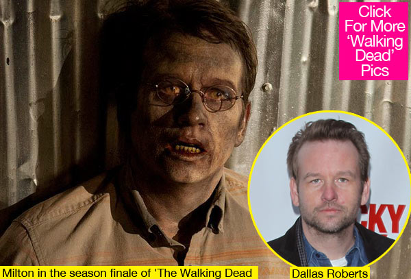 The Walking Dead Season Finale