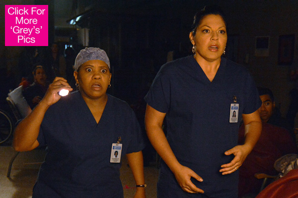 Grey's Anatomy Richard Dies