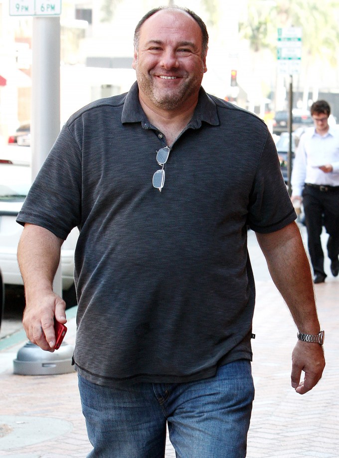 James Gandolfini in 2011