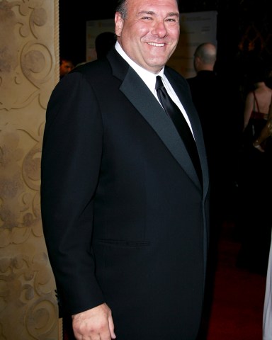 James Gandolfini
BAFTA 'Brits To Watch' event, Belasco Theatre, Los Angeles, Royal Tour, California, America  - 09 Jul 2011