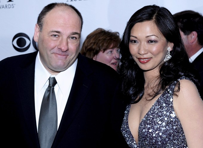 James Gandolfini In 2009