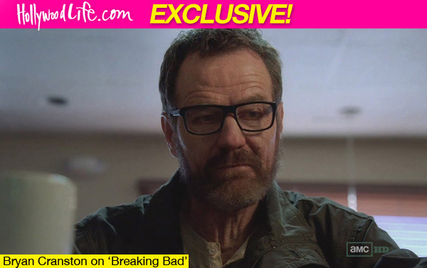 Breaking Bad Final Episodes