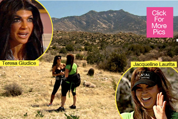 Teresa Giudice Jacqueline Laurita Son Autism Karma