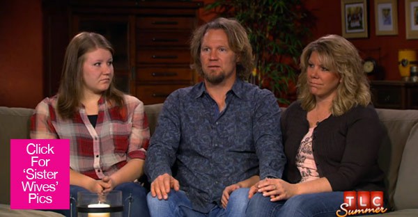 Sister Wives A Wife Decides