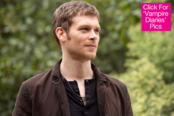 Klaus Vampire Diaries Return