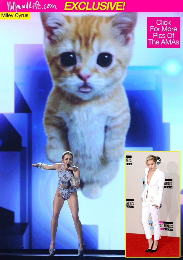 Miley Cyrus AMAs Cat