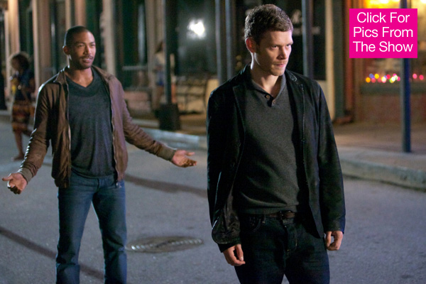 The Originals Hayley Kidnapped