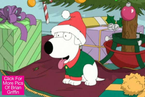 Family Guy Brian Griffin