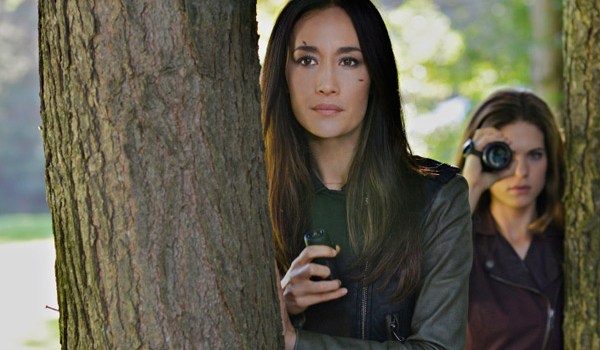 Nikita Series Finale Recap