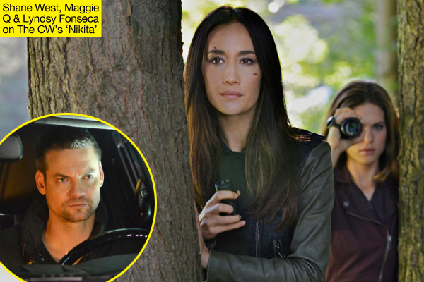 Nikita Series Finale Recap