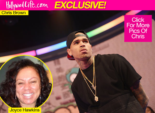 Chris Brown Rock Throwing