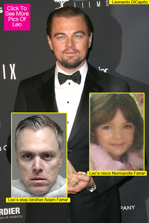 Leonardo DiCaprio Niece Abducted