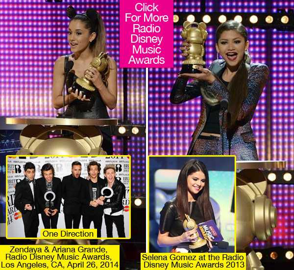 2014 Radio Disney Music Awards Winners