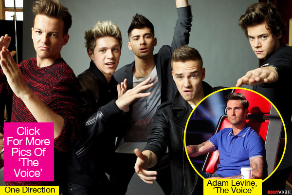 Adam Levine One Direction The Voice