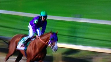 California Chrome Five Things