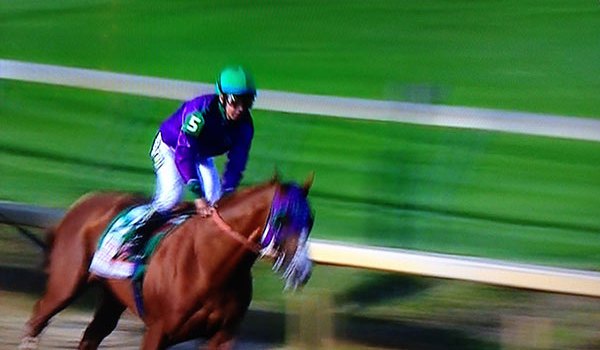 California Chrome Five Things