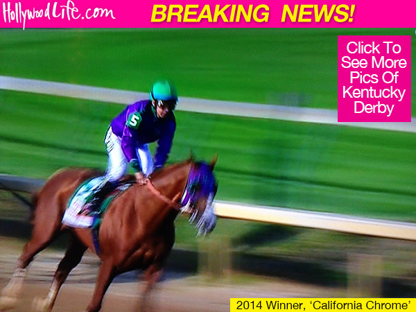 California Chrome Five Things