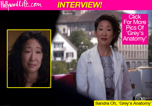 Grey's Anatomy Sandra Oh