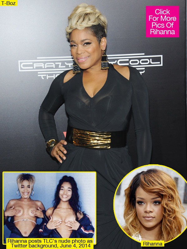T Boz Rihanna Fight