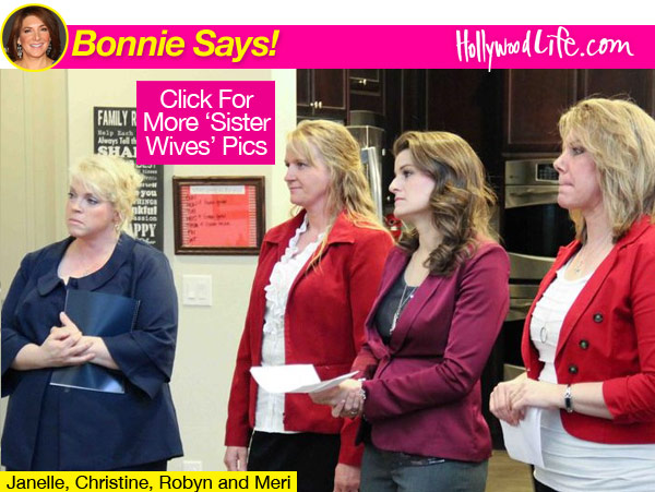 Sister Wives Browns Meet Richards