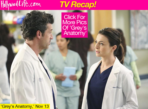 Grey's Anatomy Derek Shepherd Sister