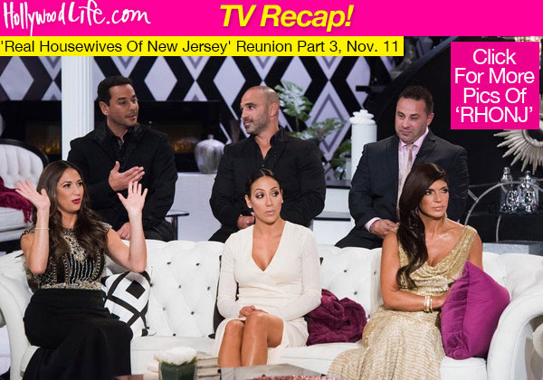 Real Housewives Of New Jersey Teresa Giudice Reunion