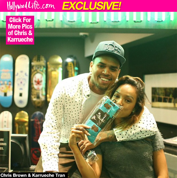 Chris Brown Karrueche Tran Sex Weekend