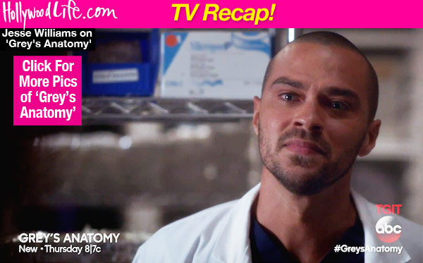 Grey's Anatomy Jackson April Baby Sick