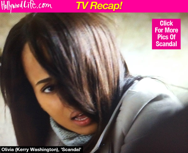 Scandal Stephen Returns