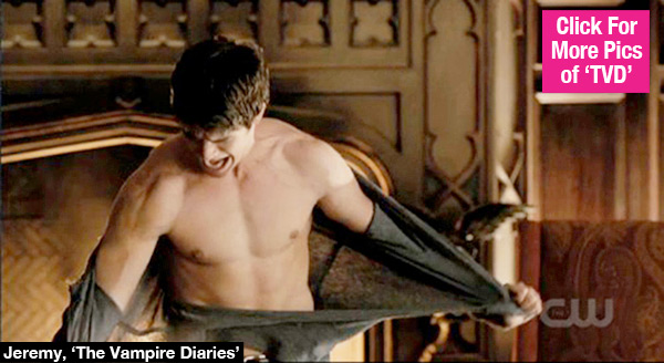 Vampire Diaries Jeremy Leaves