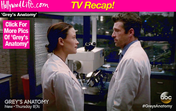 Grey's Anatomy Derek Cheated