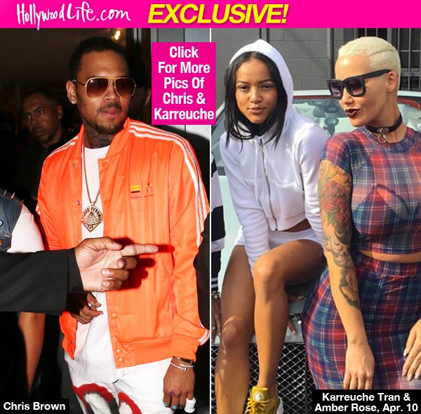 Amber Rose Karrueche Tran Forgive Chris Brown