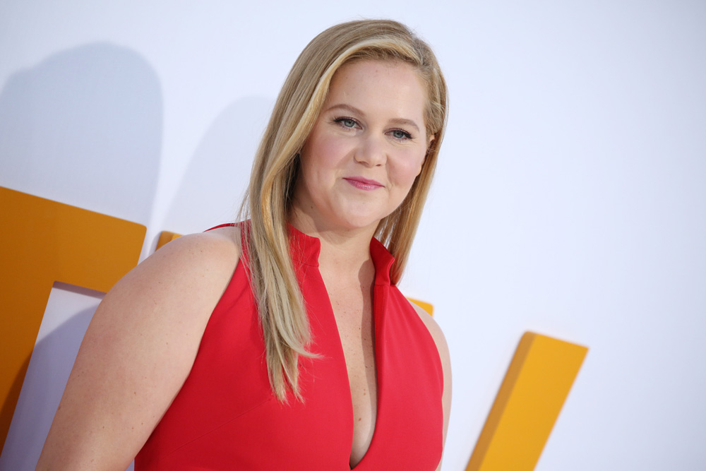 Amy Schumer
'I Feel Pretty' film premiere, Arrivals, Los Angeles, USA - 17 Apr 2018