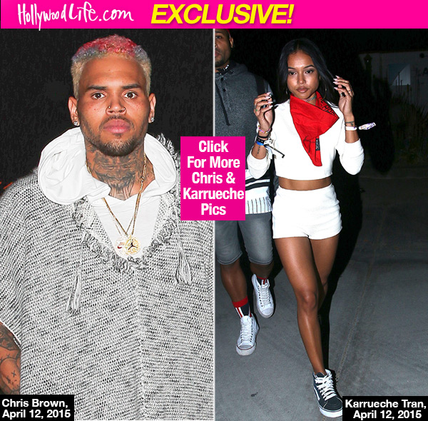 Karrueche Tran Diss Chris Brown
