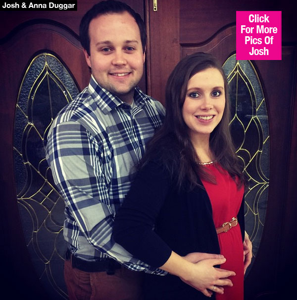 anna duggar statement josh duggar molestation