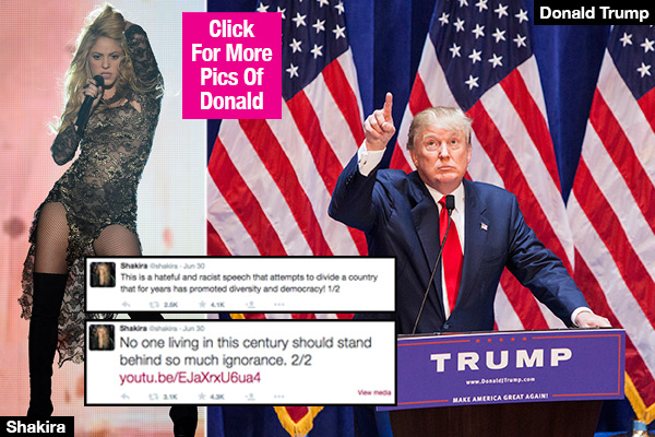 Shakira Slams Donald Trump