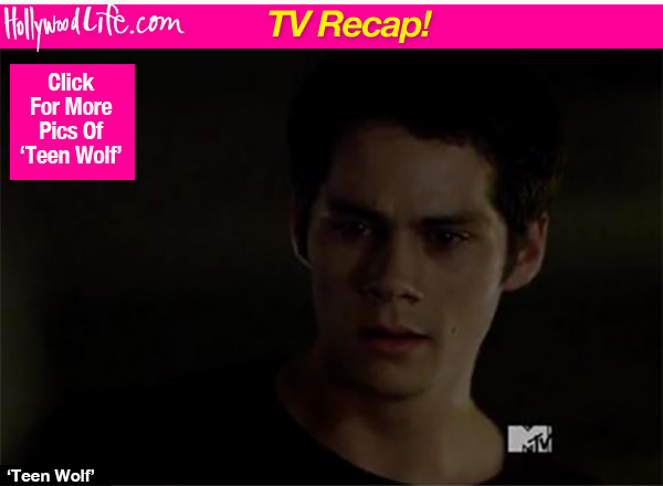 Teen Wolf Stiles Attacked