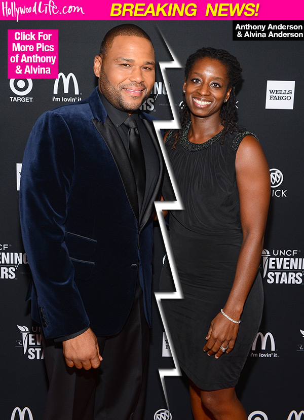 Anthony Anderson Divorce