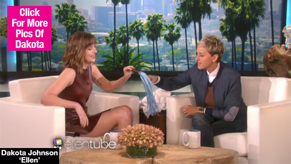 Dakota Johnson Sex Toys