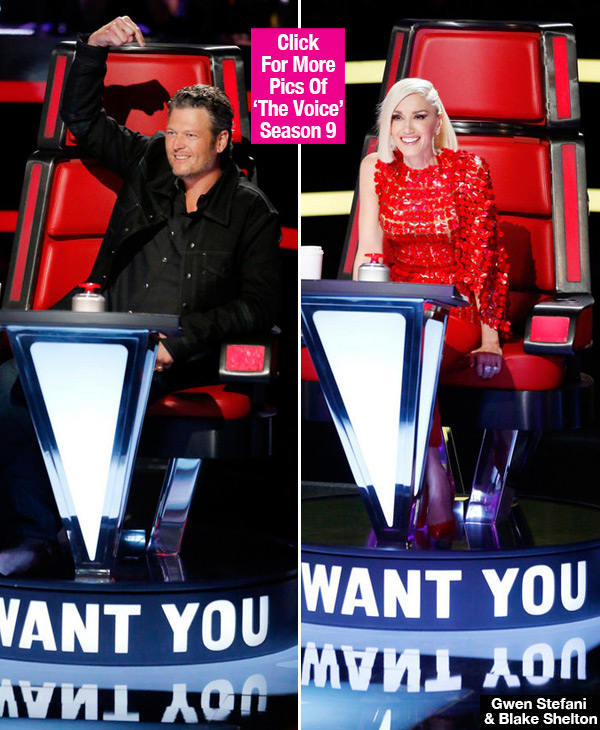 Gwen Stefani Blake Shelton Flirting