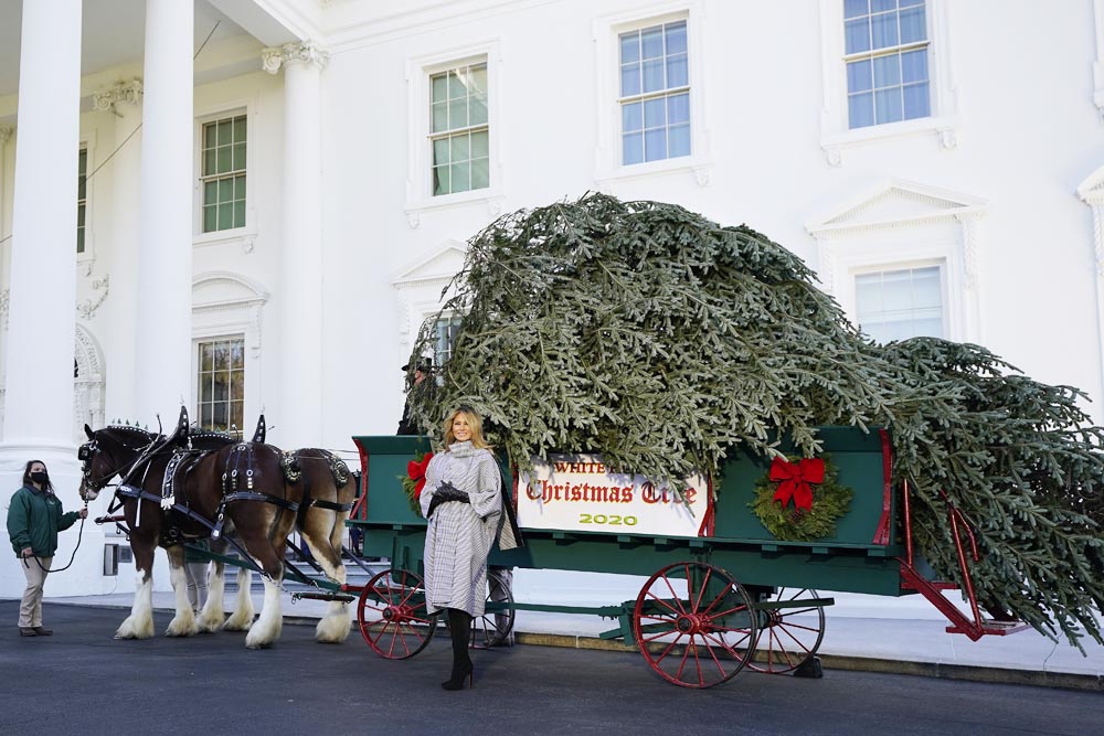 Melania Trump White House Christmas Tree 2020 AP