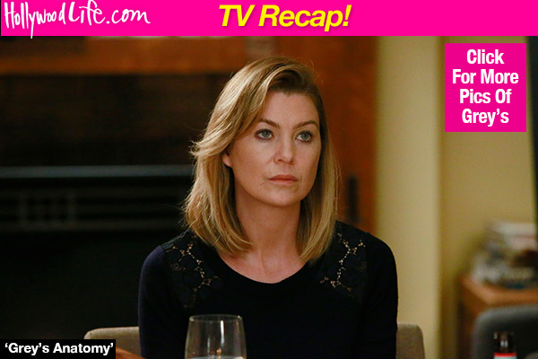 Greys Anatomy Doctor Killed McDreamy Meredith Party