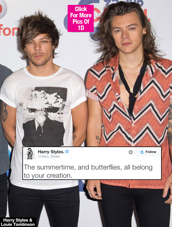 Harry Styles Larry Tweet